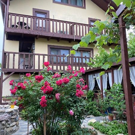 ホテル Casa Donau Delta スリナ エクステリア 写真