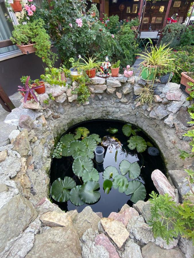 ホテル Casa Donau Delta スリナ エクステリア 写真
