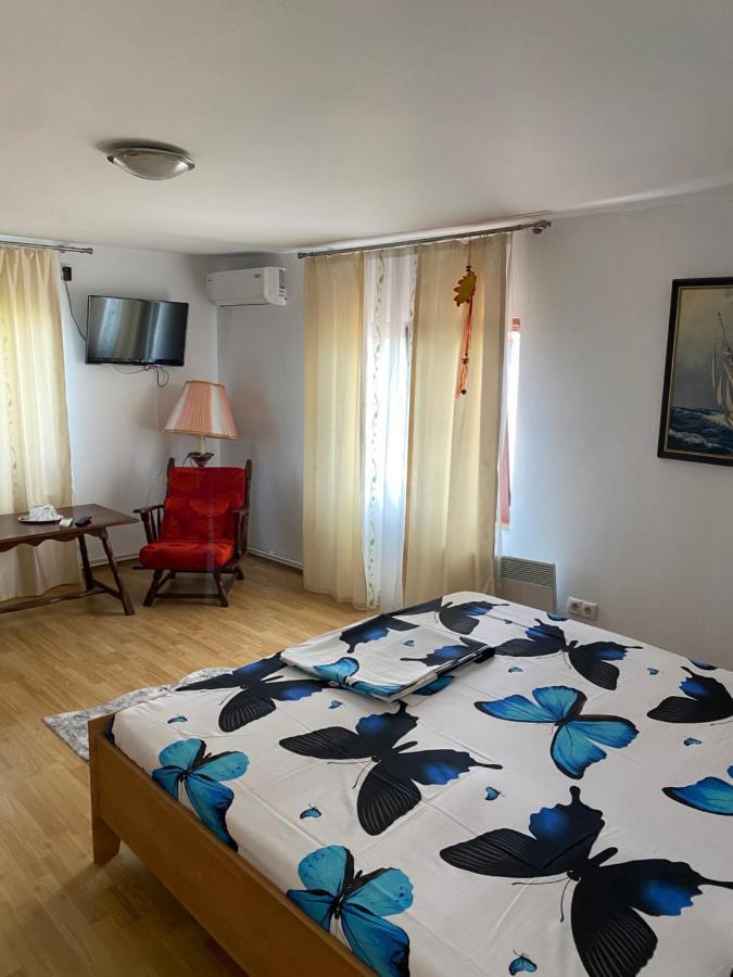 ホテル Casa Donau Delta スリナ エクステリア 写真
