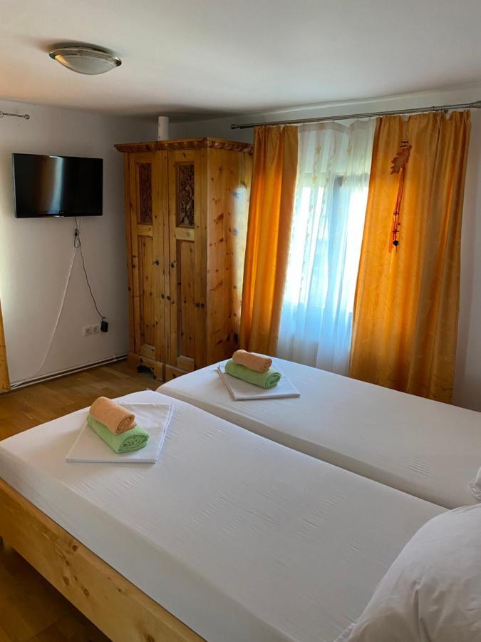 ホテル Casa Donau Delta スリナ エクステリア 写真