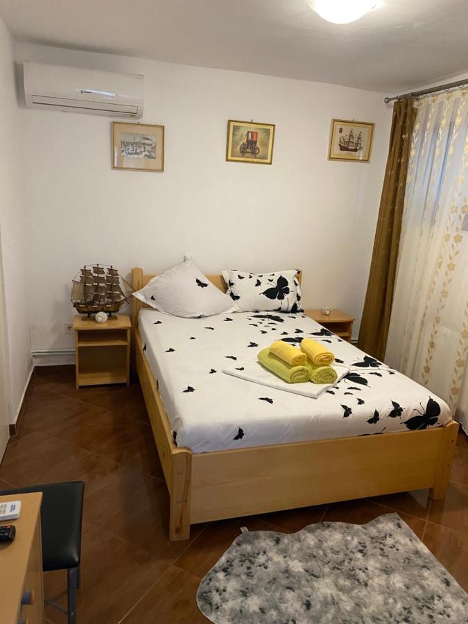 ホテル Casa Donau Delta スリナ エクステリア 写真