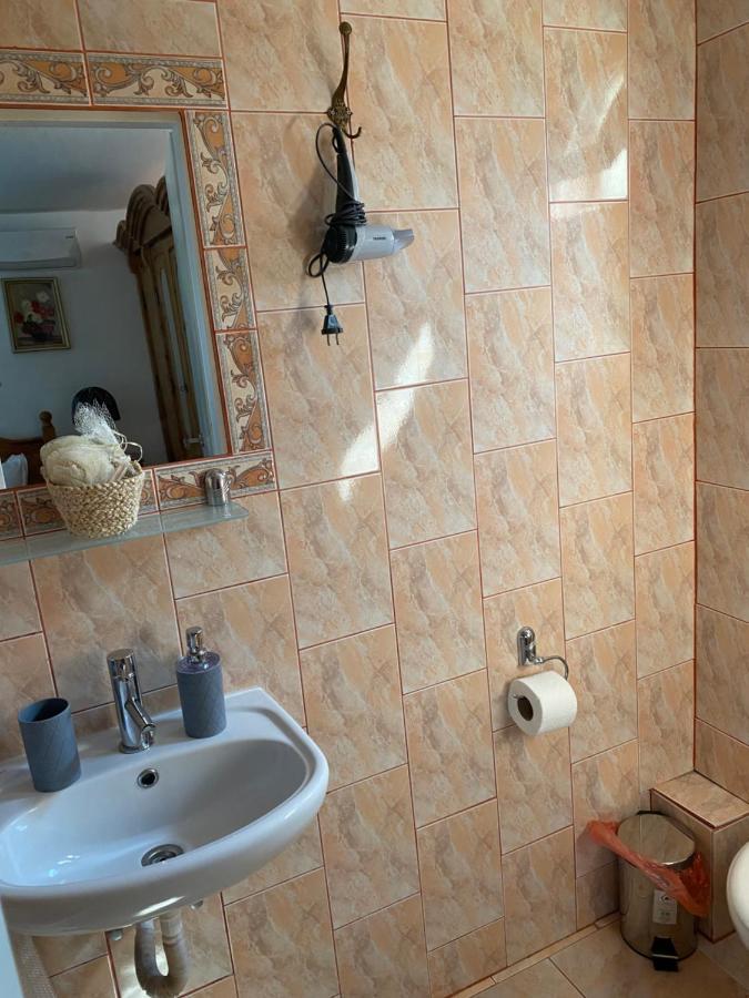ホテル Casa Donau Delta スリナ エクステリア 写真