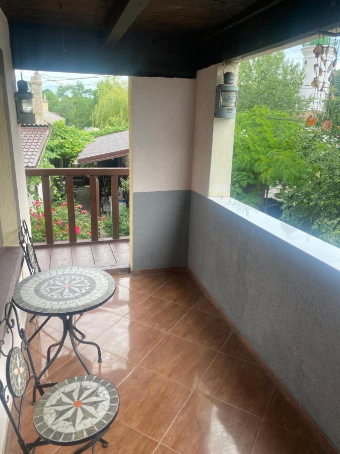ホテル Casa Donau Delta スリナ エクステリア 写真
