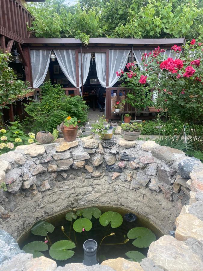 ホテル Casa Donau Delta スリナ エクステリア 写真