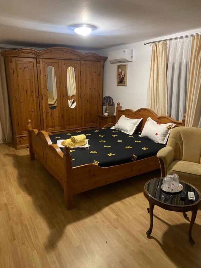 ホテル Casa Donau Delta スリナ エクステリア 写真