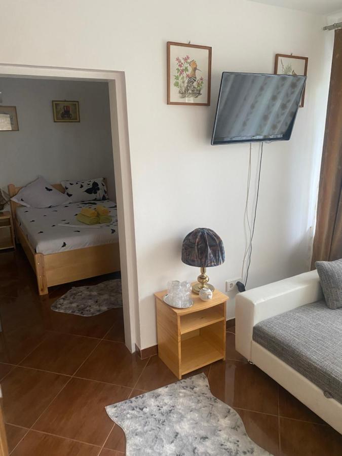 ホテル Casa Donau Delta スリナ エクステリア 写真