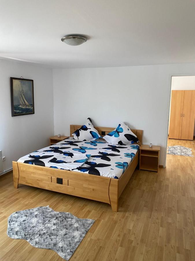 ホテル Casa Donau Delta スリナ エクステリア 写真