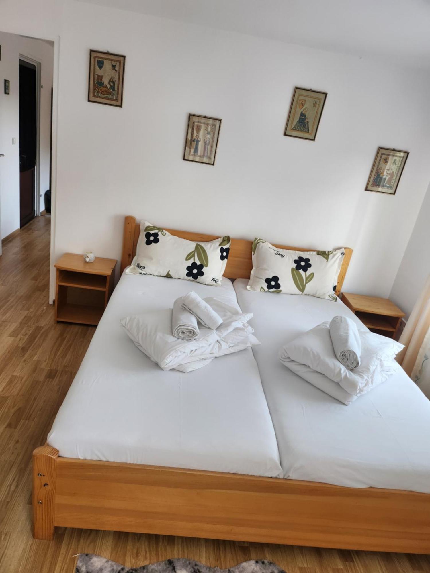 ホテル Casa Donau Delta スリナ 部屋 写真