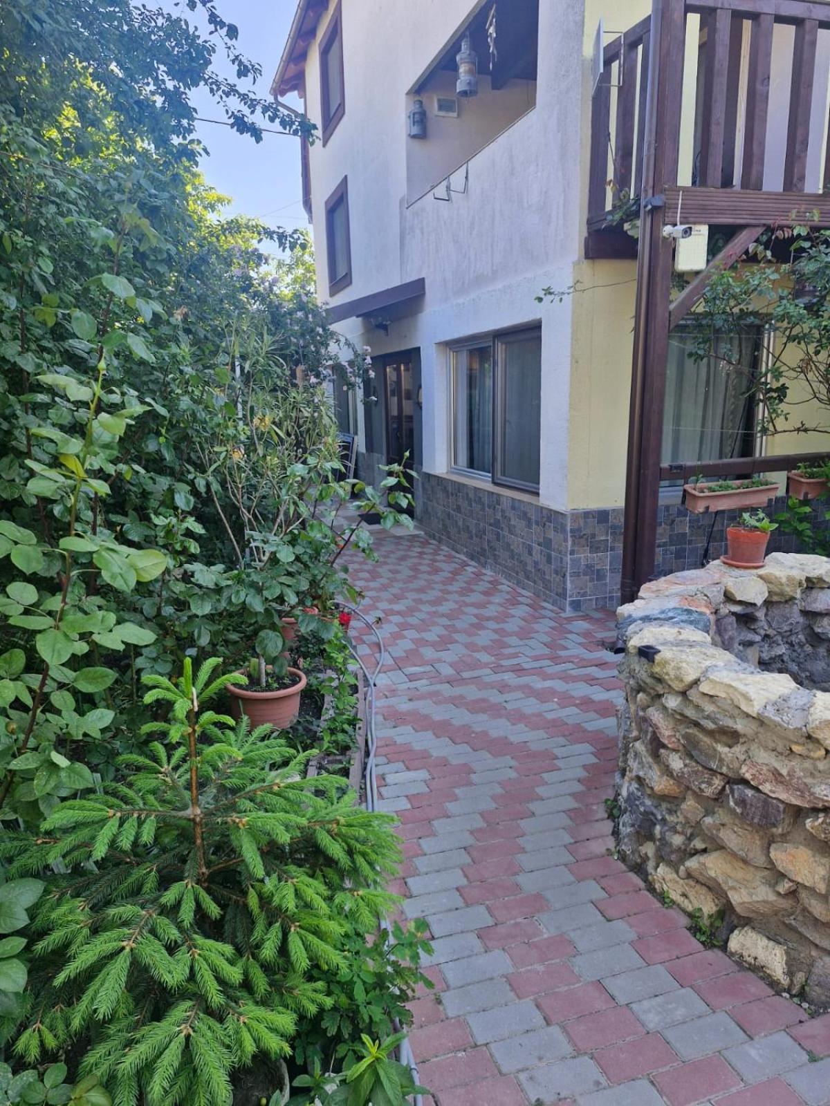 ホテル Casa Donau Delta スリナ エクステリア 写真