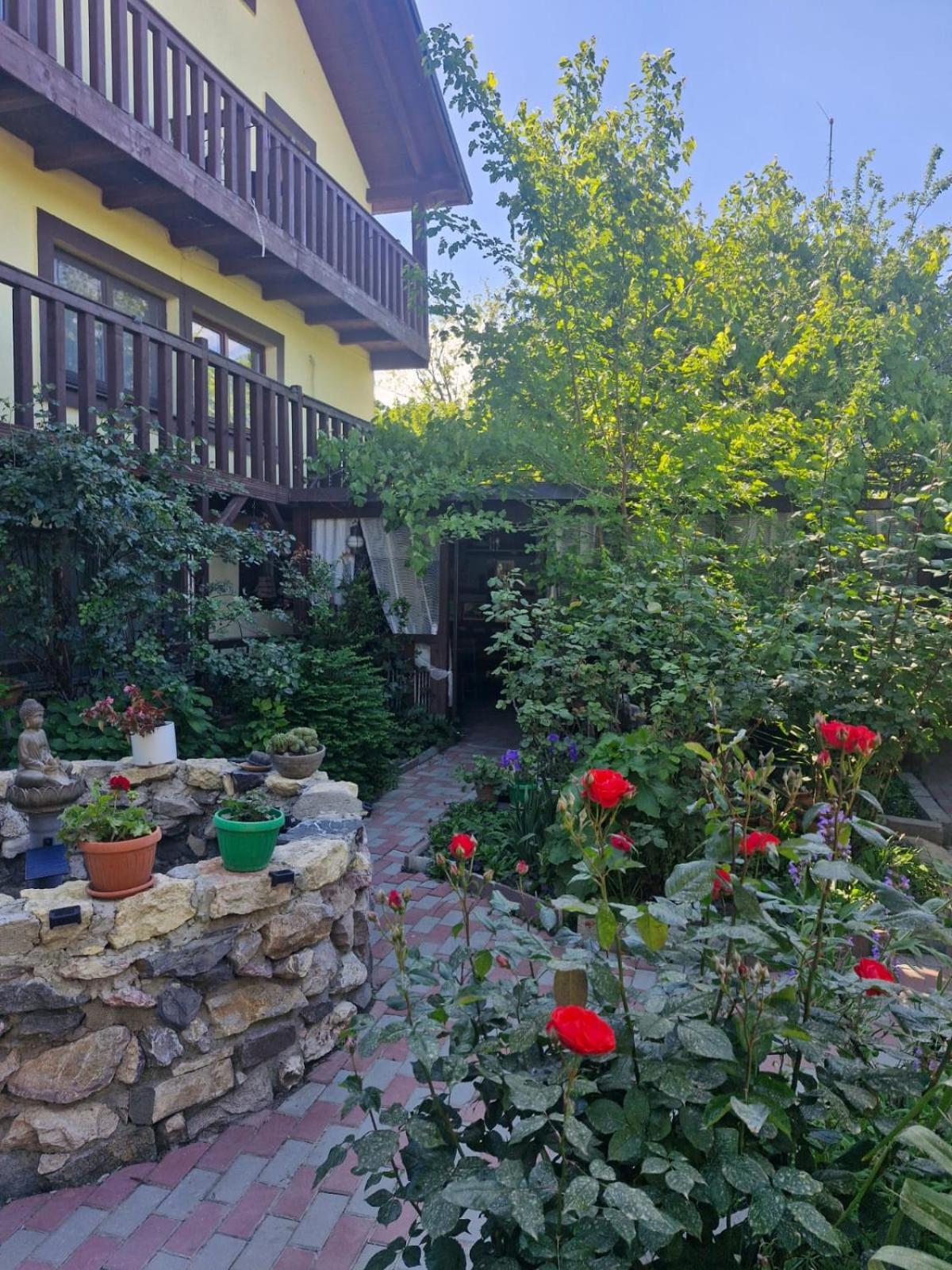 ホテル Casa Donau Delta スリナ エクステリア 写真