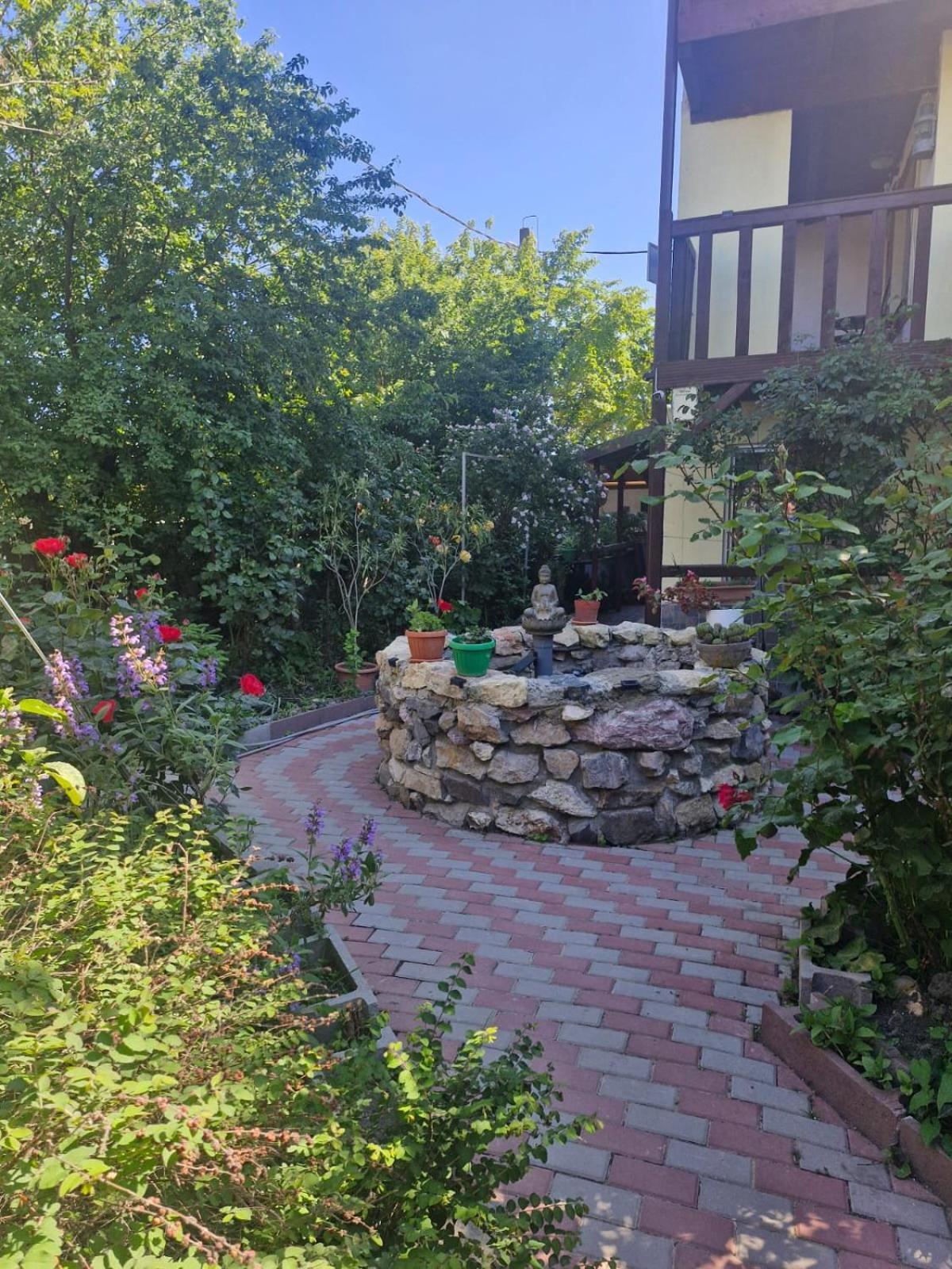 ホテル Casa Donau Delta スリナ エクステリア 写真