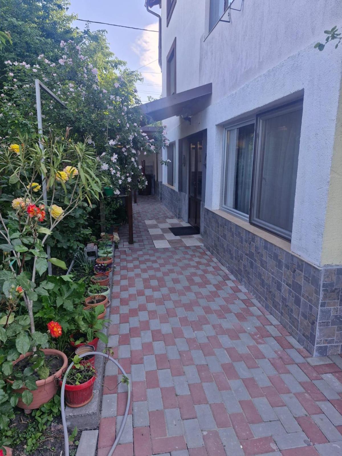 ホテル Casa Donau Delta スリナ エクステリア 写真