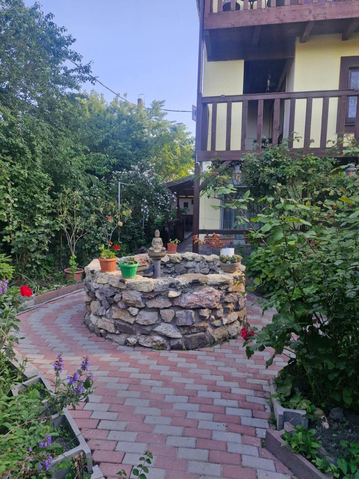 ホテル Casa Donau Delta スリナ エクステリア 写真